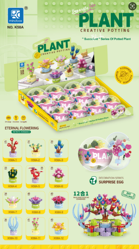 Succulent Plant Surprise Block Egg Set